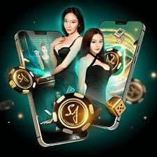 6655bet9